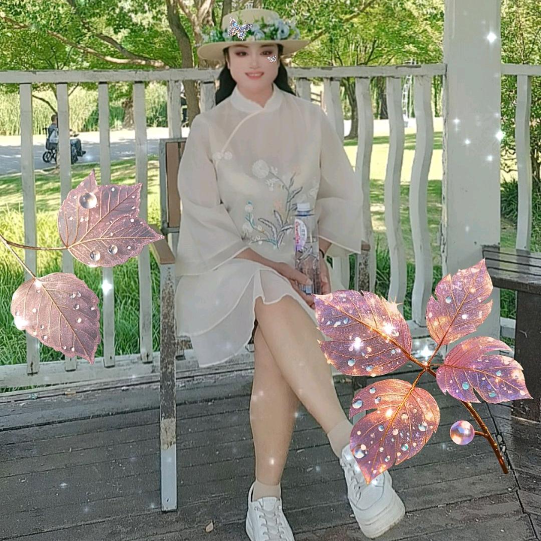 我的梦中情人