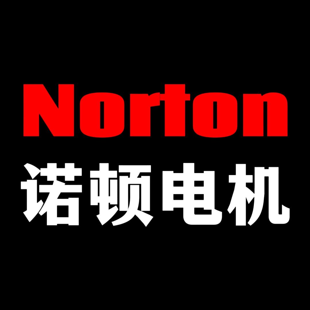 金顿·诺顿电机