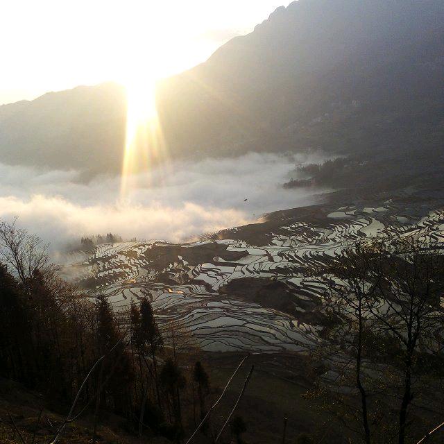 ꧁༺༽༾ཊ向阳而生ཏ༿༼༻꧂