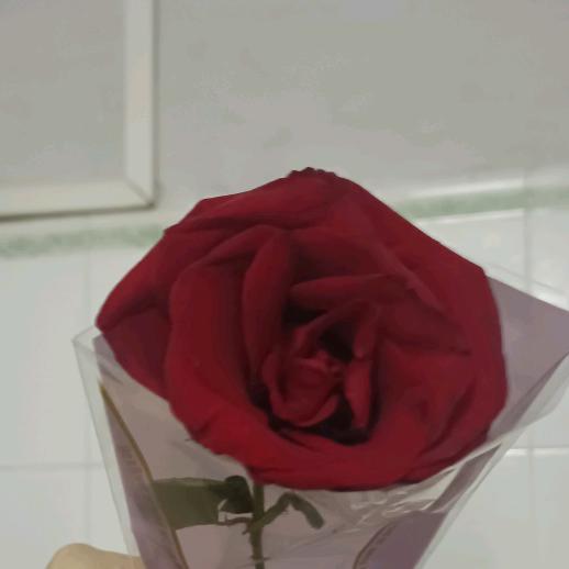 温暖的家♥玲