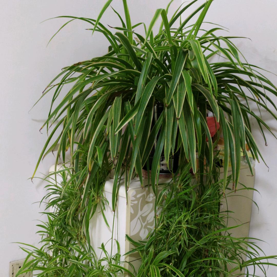 🌈梦想成真🌈