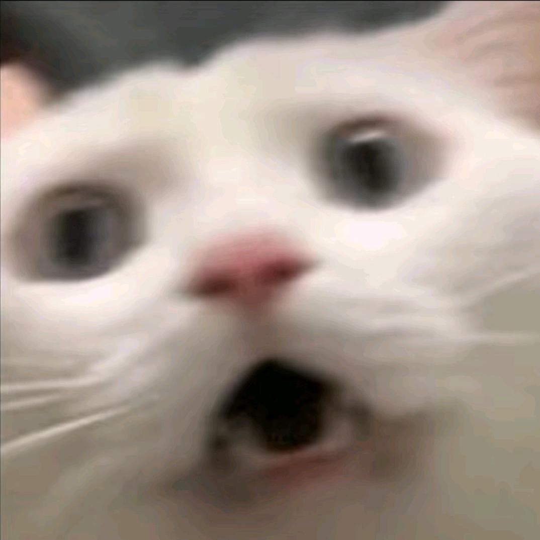 CCc
