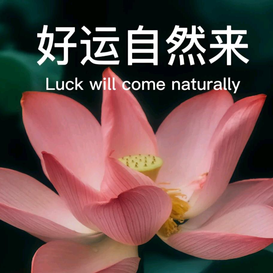 ∮平安是福∮