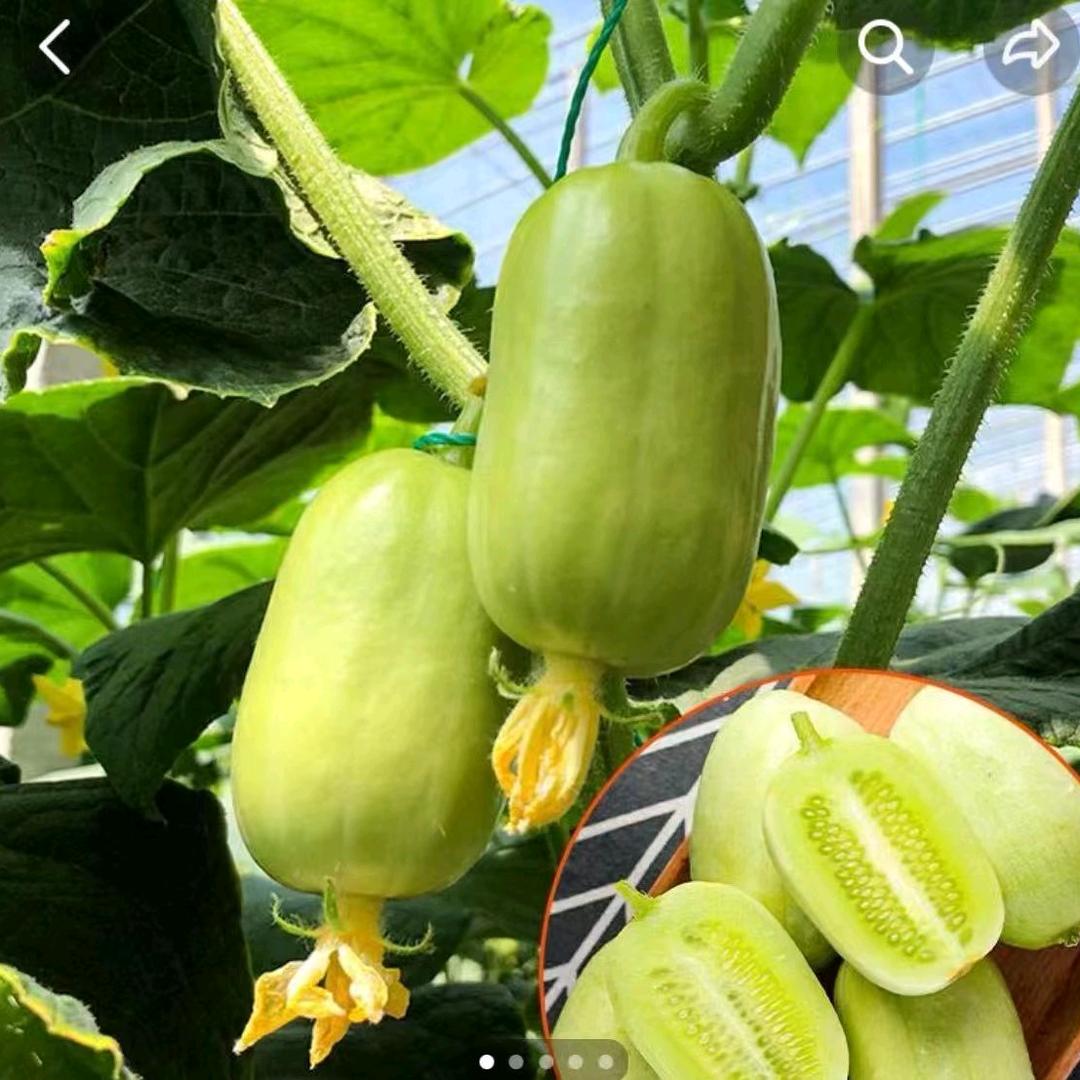 大帅好物168