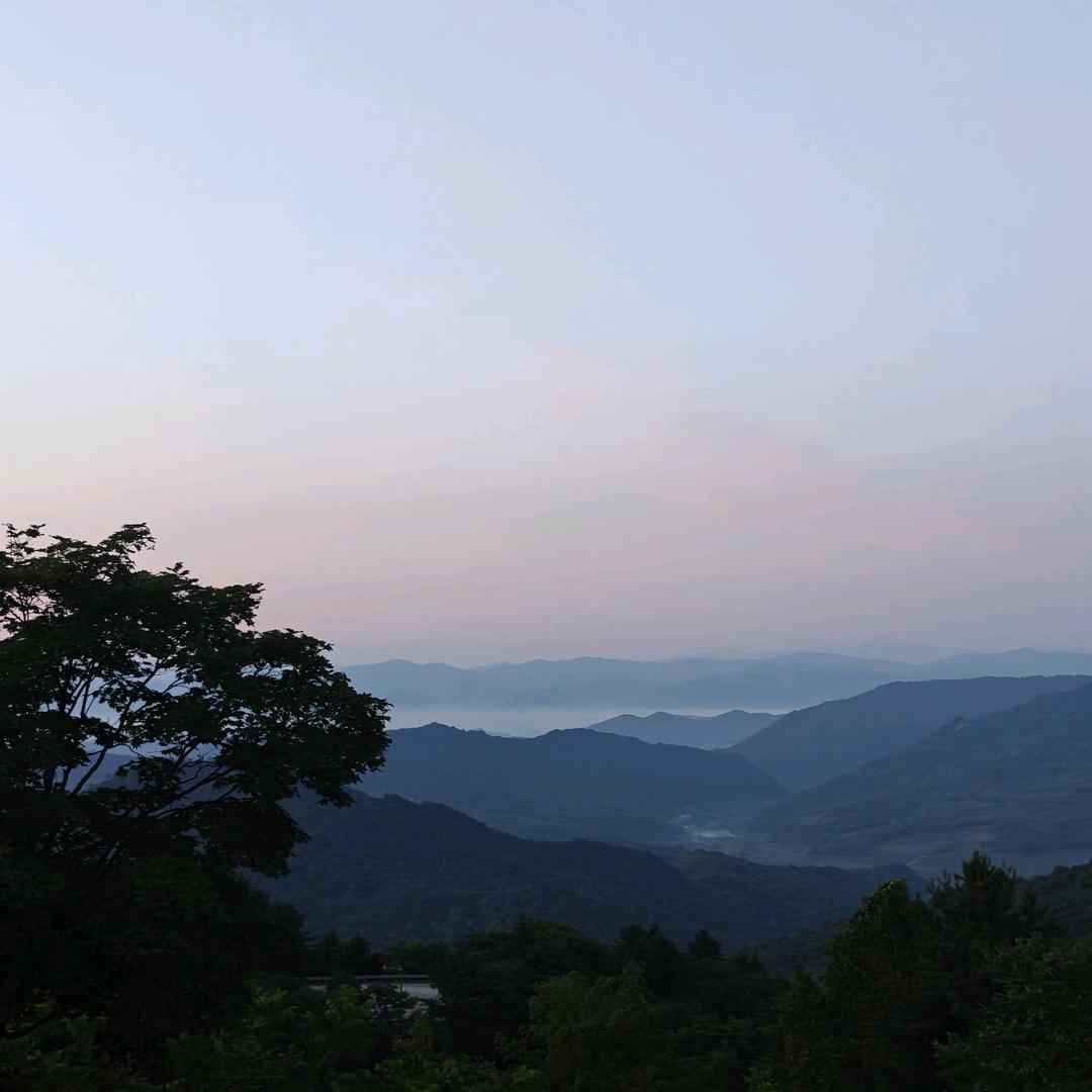 鑫雨二手车 销售