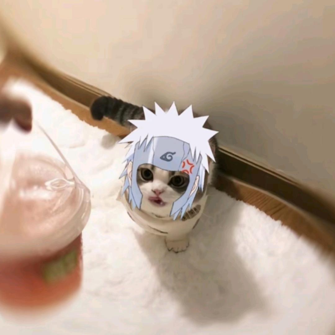 ௸限量款乐ོ✿