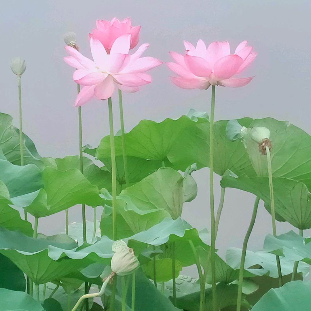 健健康康