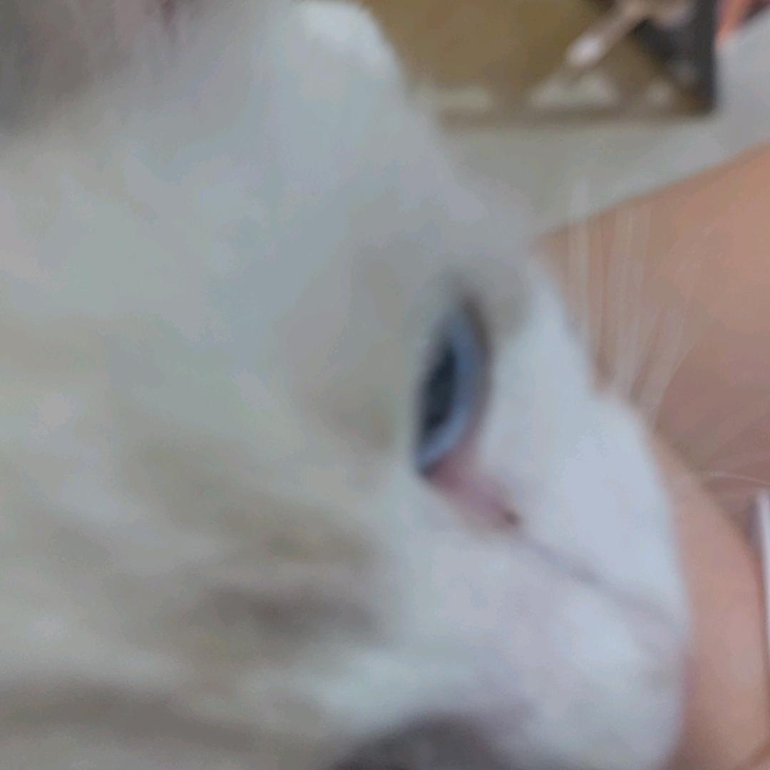 美爷💋