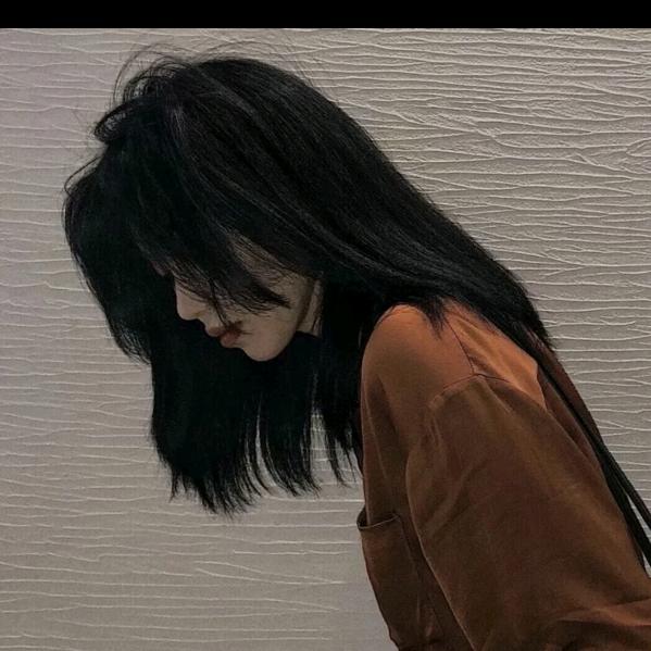 𓆩史迪仔𓆪