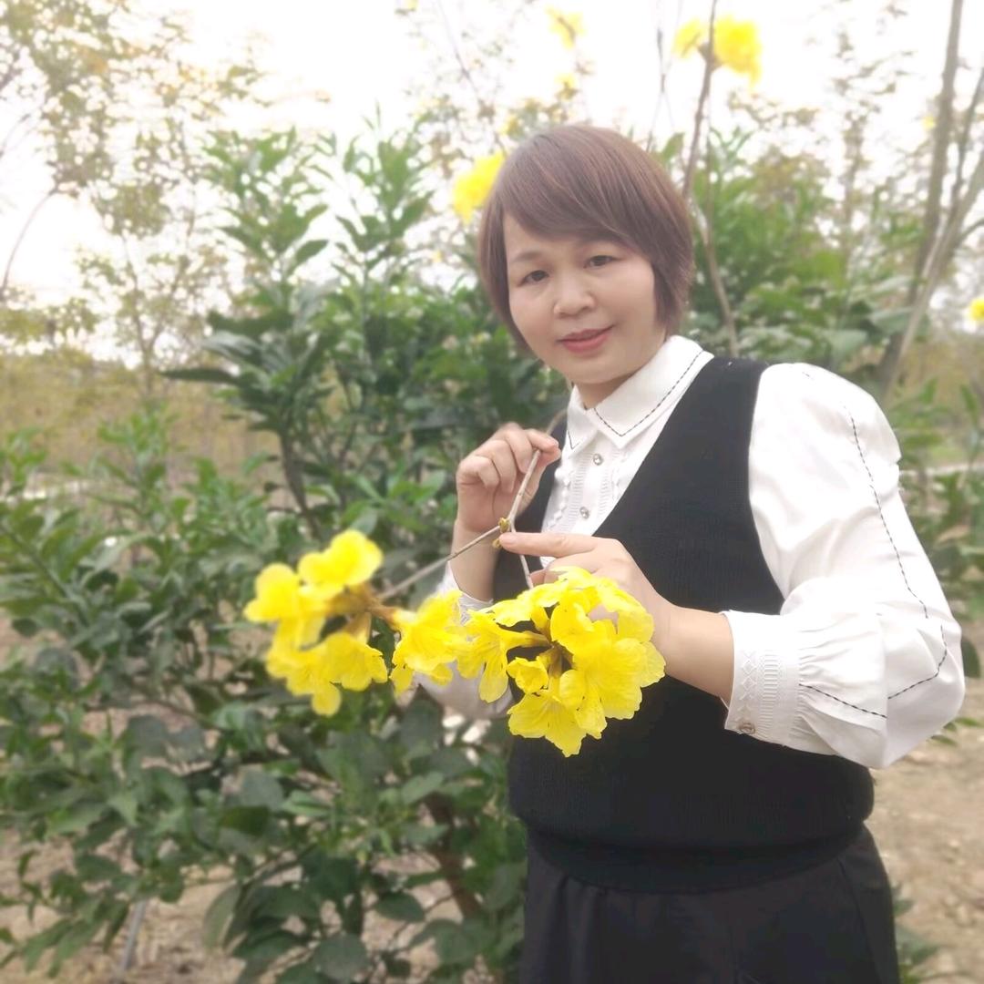 舞风秀云