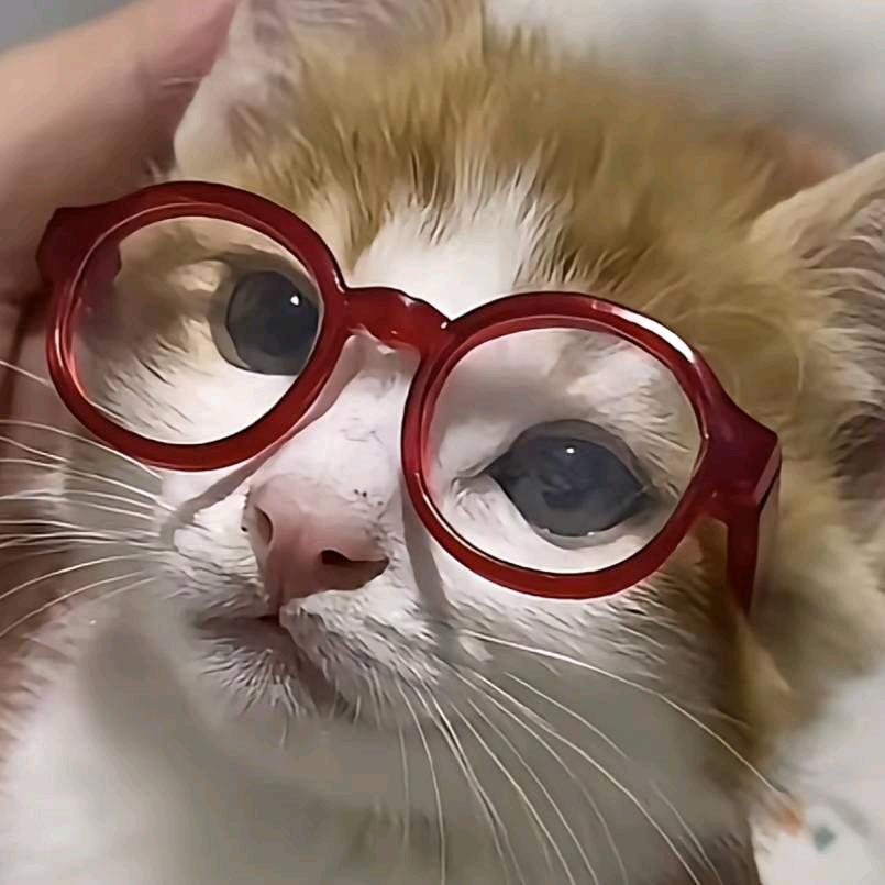 猛虎掏心