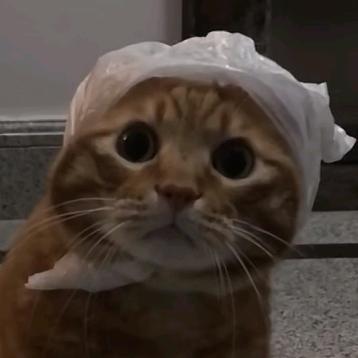 该吃药了~亲