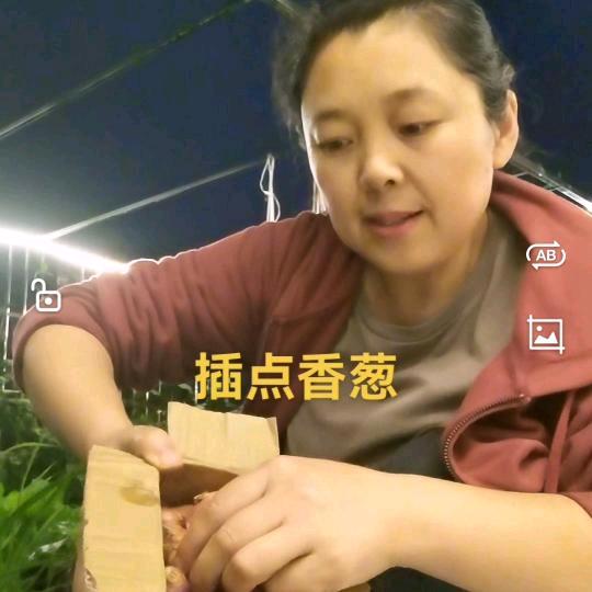 张姐的菜园