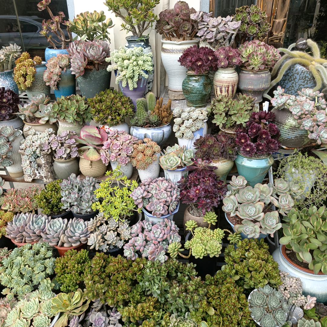 拟纳电子百货店
