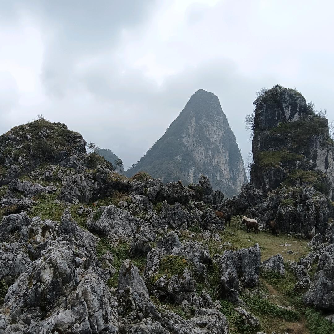 你心中的钉子户