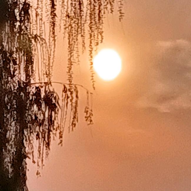 阅来清心