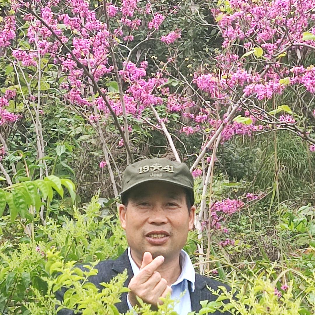 赵二歌爱🎤
