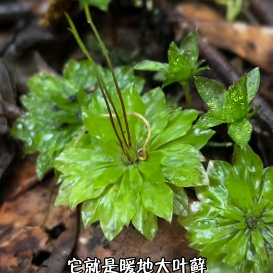 半身已过