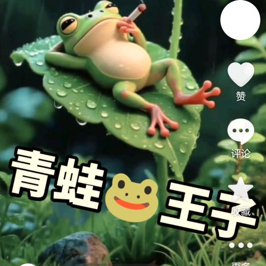青蛙🐸王子