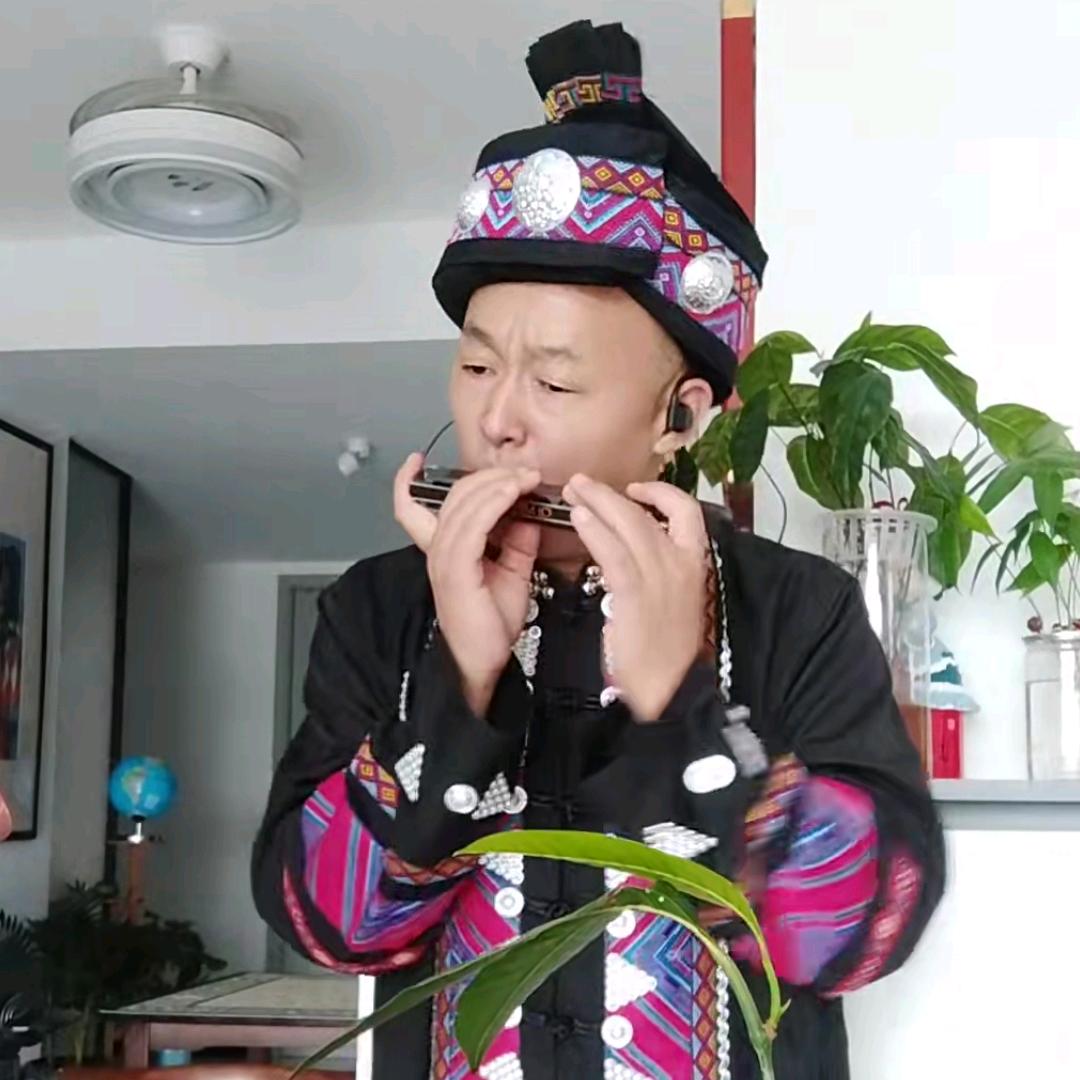 口琴传情~锋哥