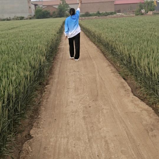 三妮的