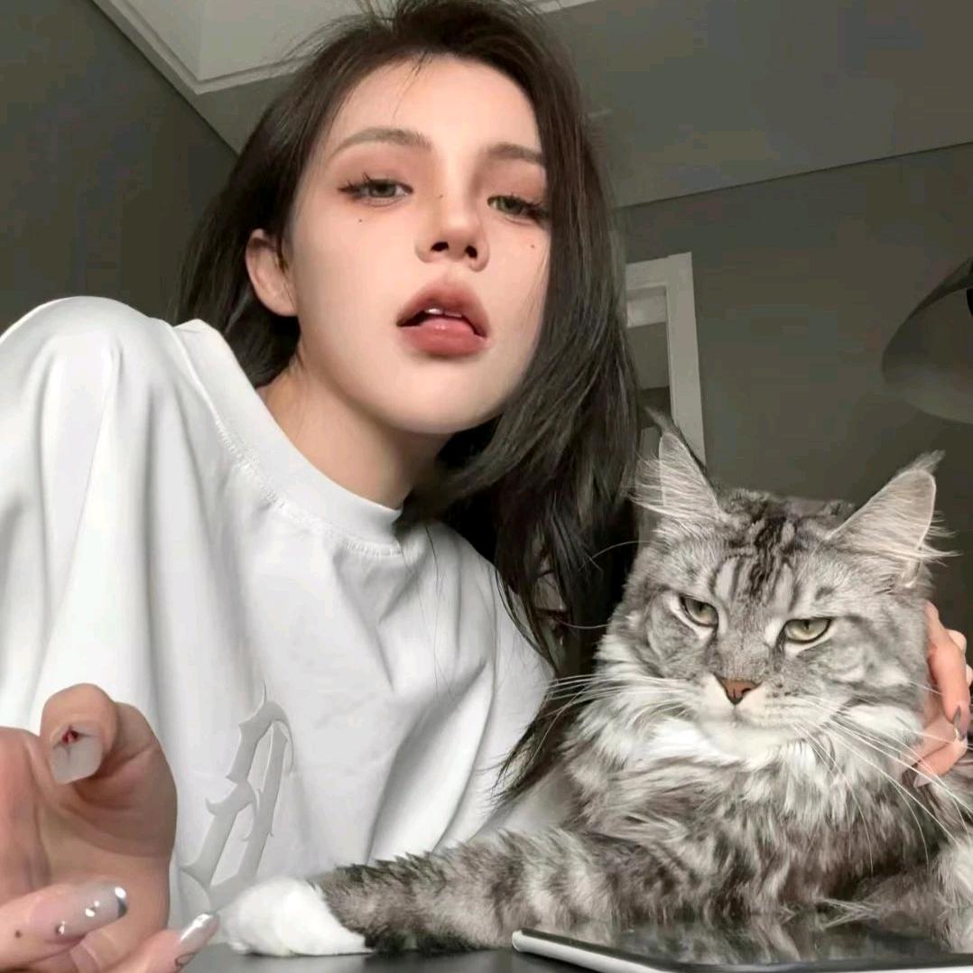 赤赤爱吃鸡翅.