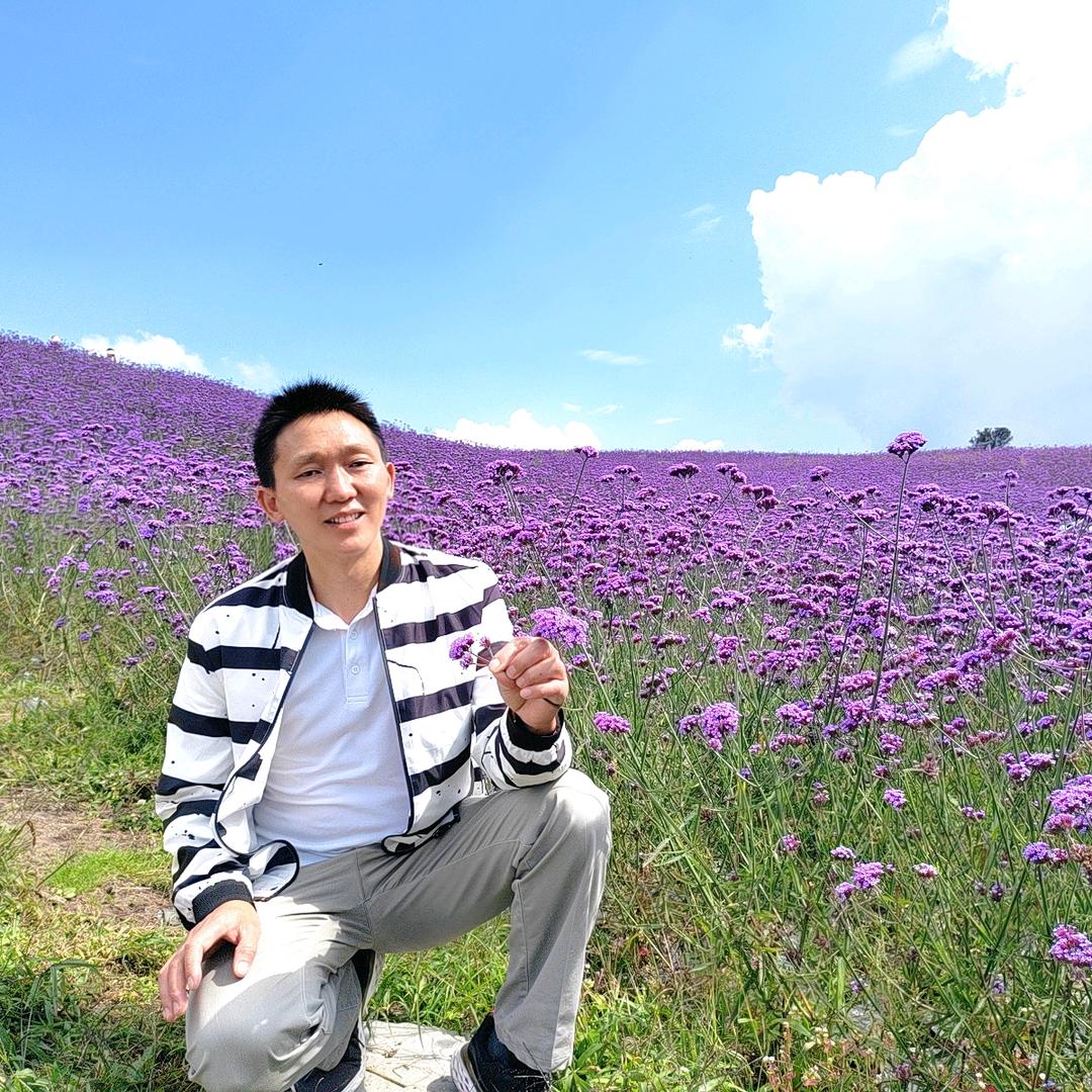 木哃人