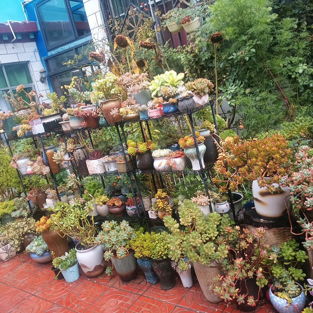 拥宗好物