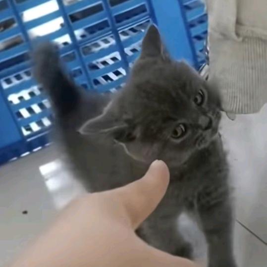 有阳光真的灿烂