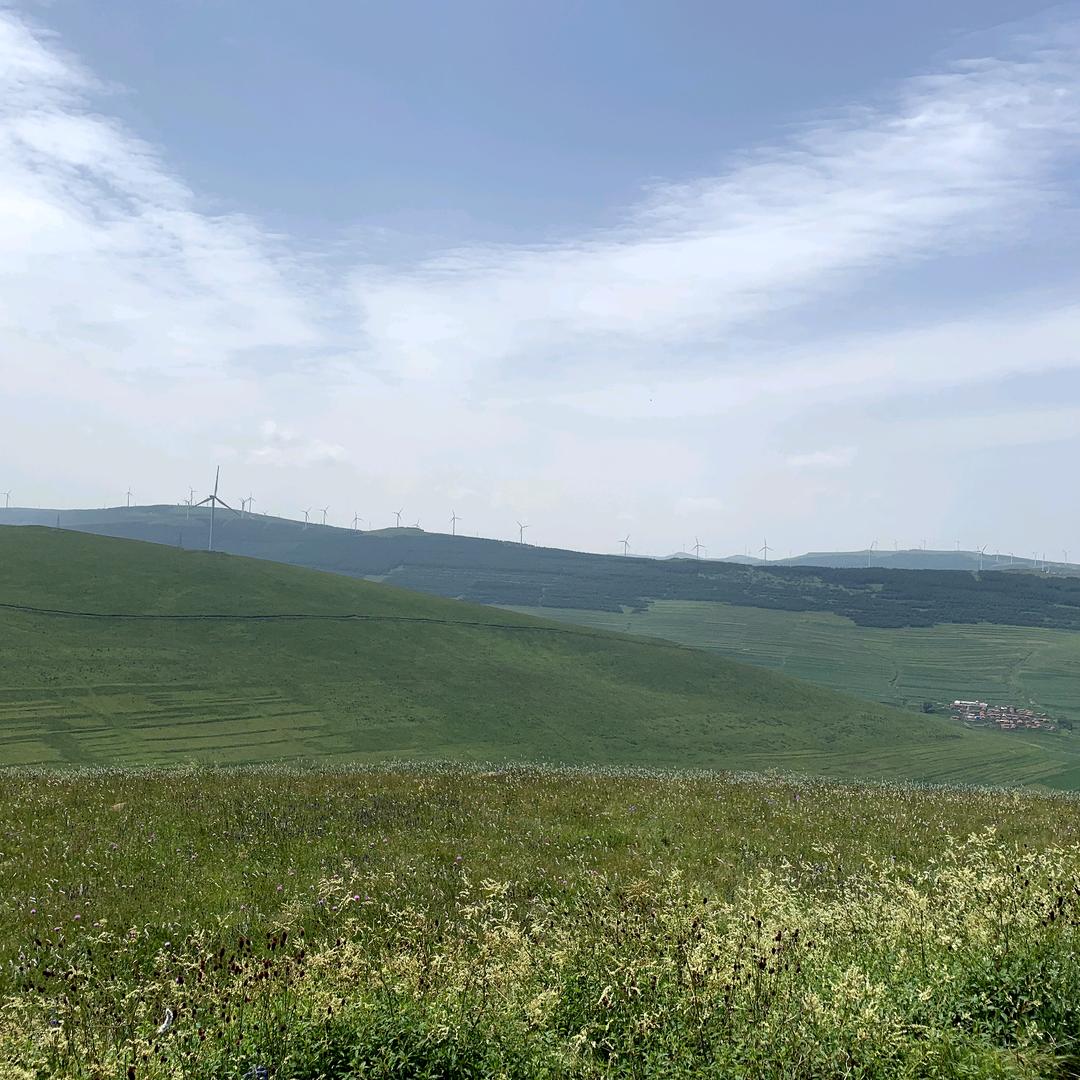 世事洞明皆学问