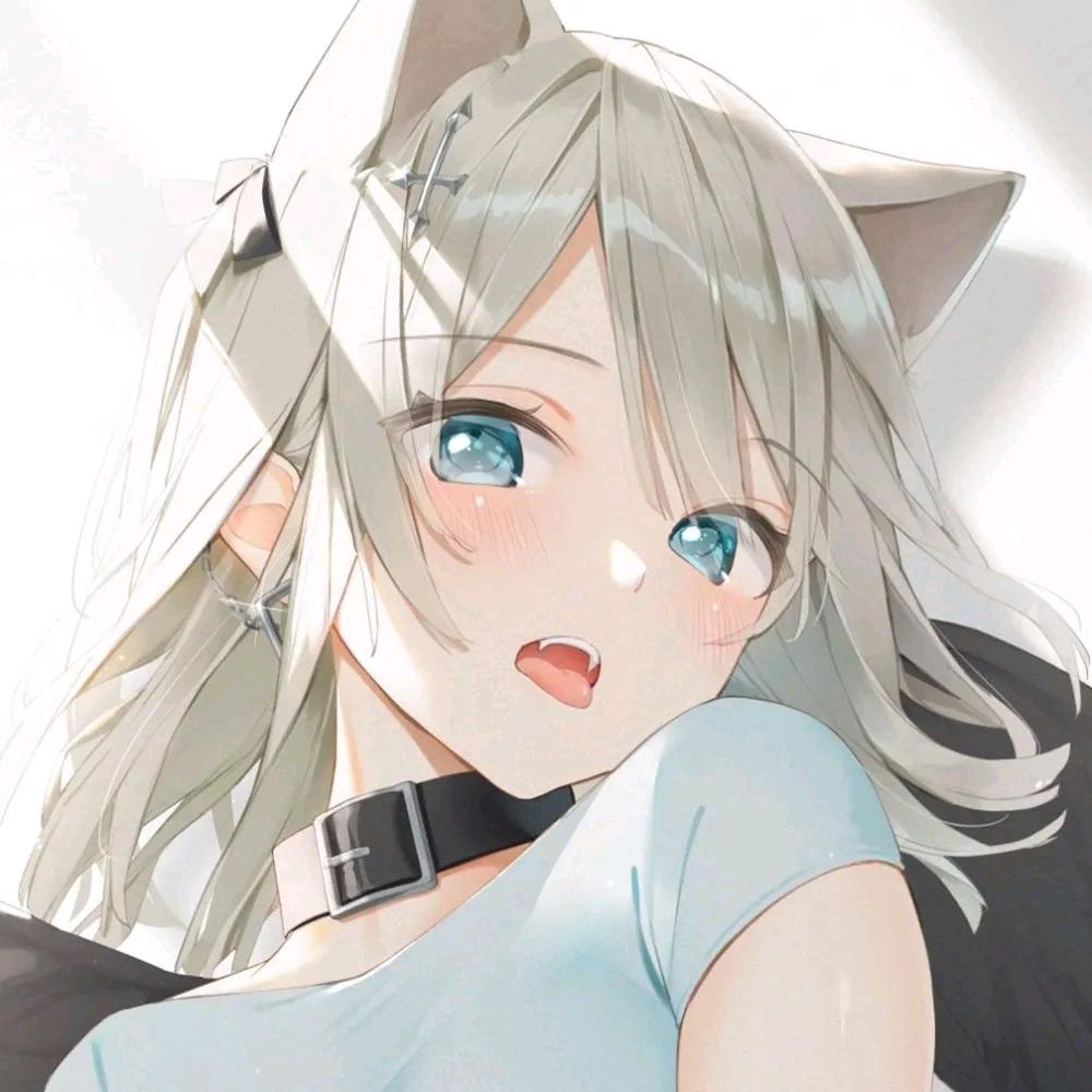 快乐小趴菜