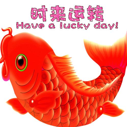 扫马路的少爷