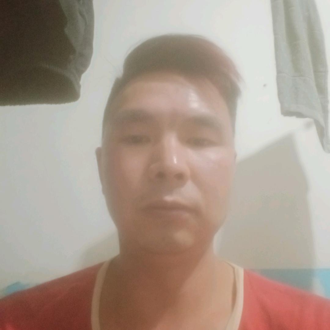 李，东山再起，