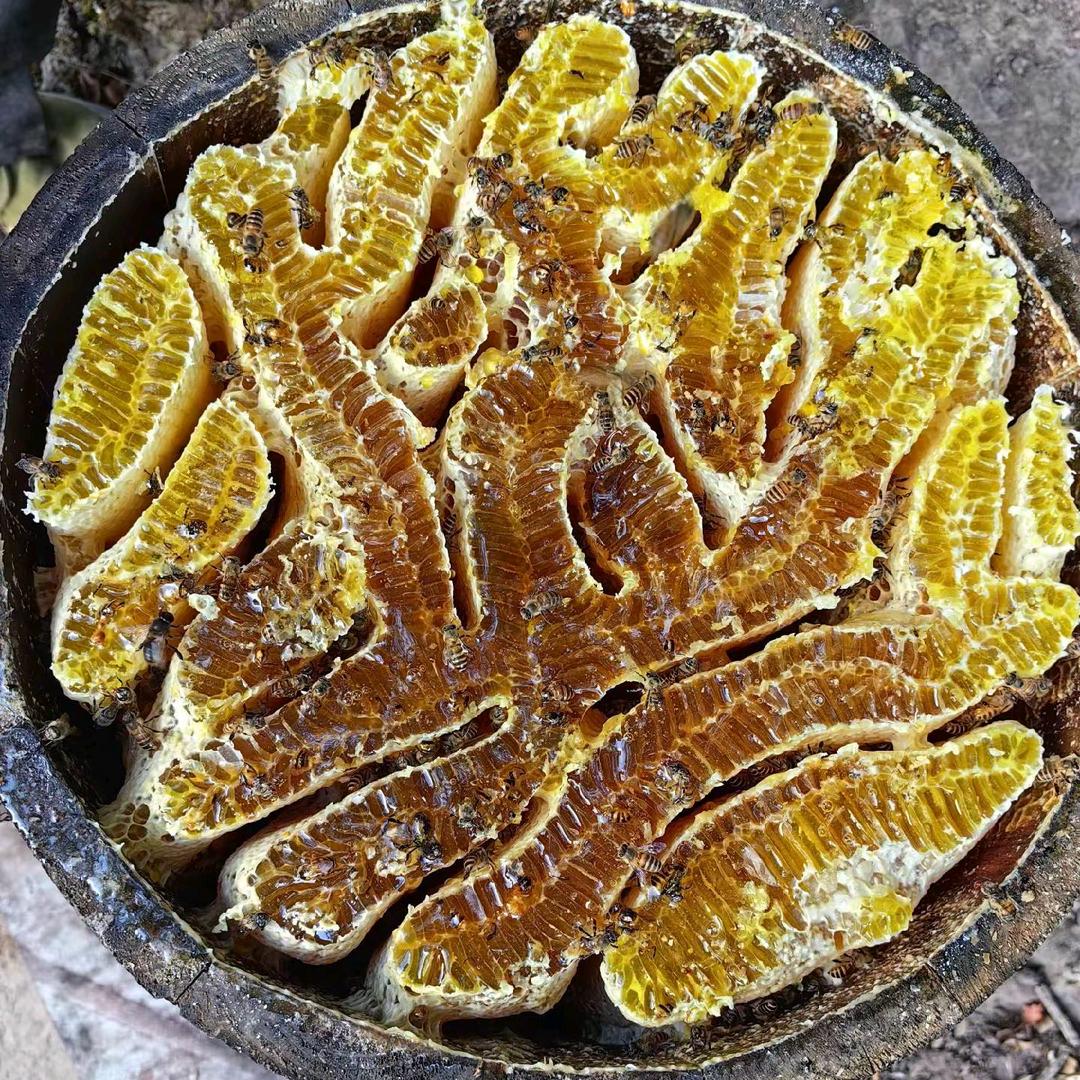 🔥追梦人🔥