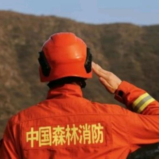 消防员业余养蜂记〈周朝伦〉