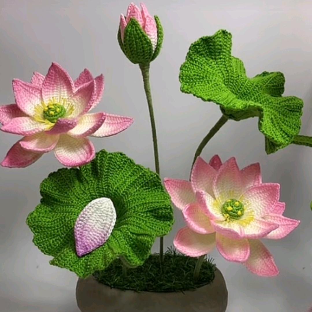 喔喔奶糖🍡🍭