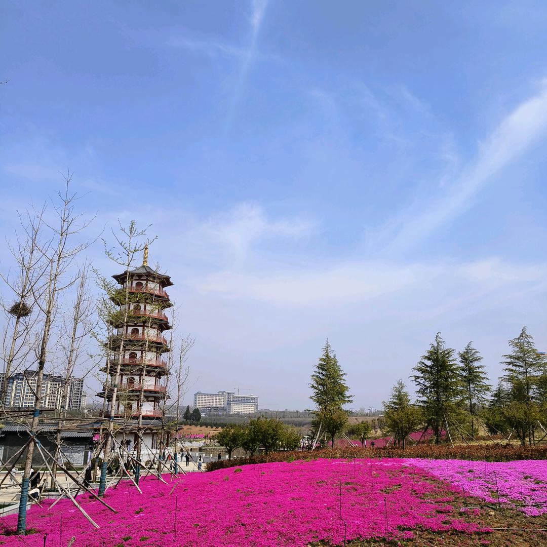 坚强红姐