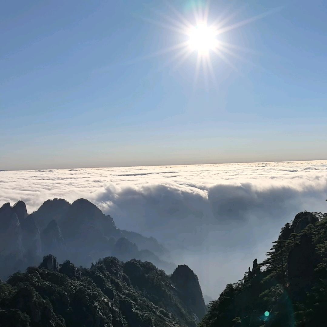 星空中的一颗尘埃