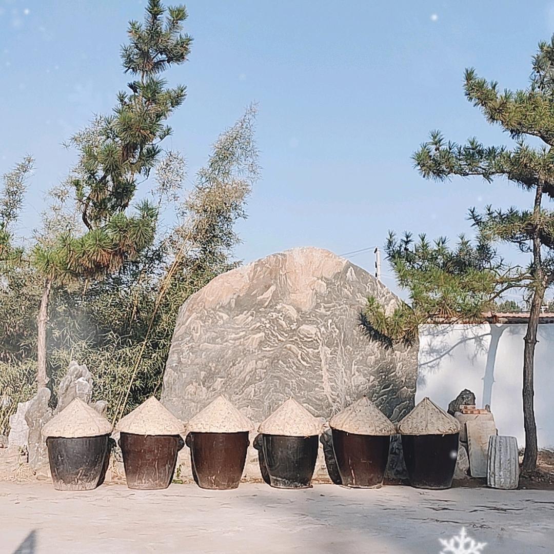 泰安小酱坊小马哥