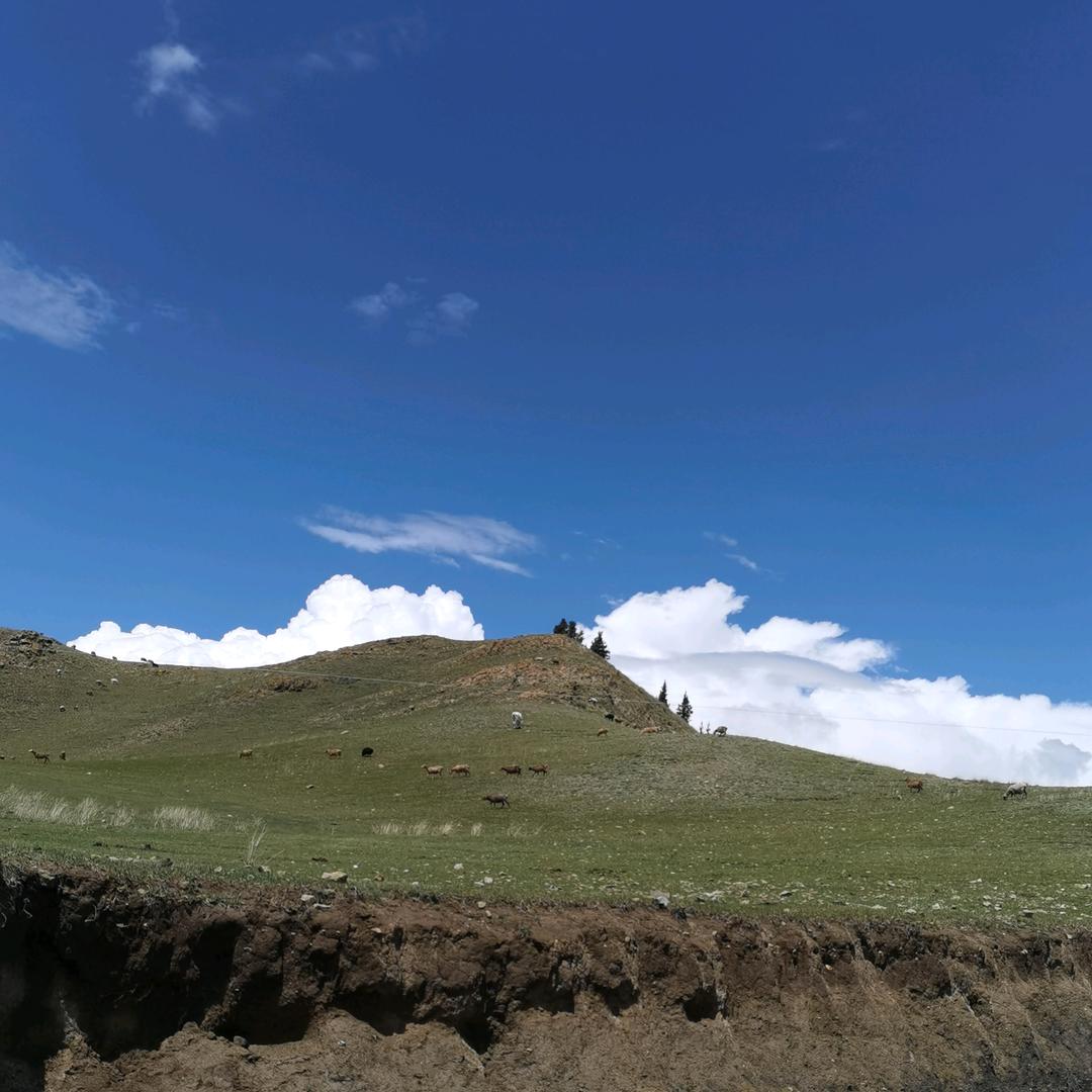 渡红尘