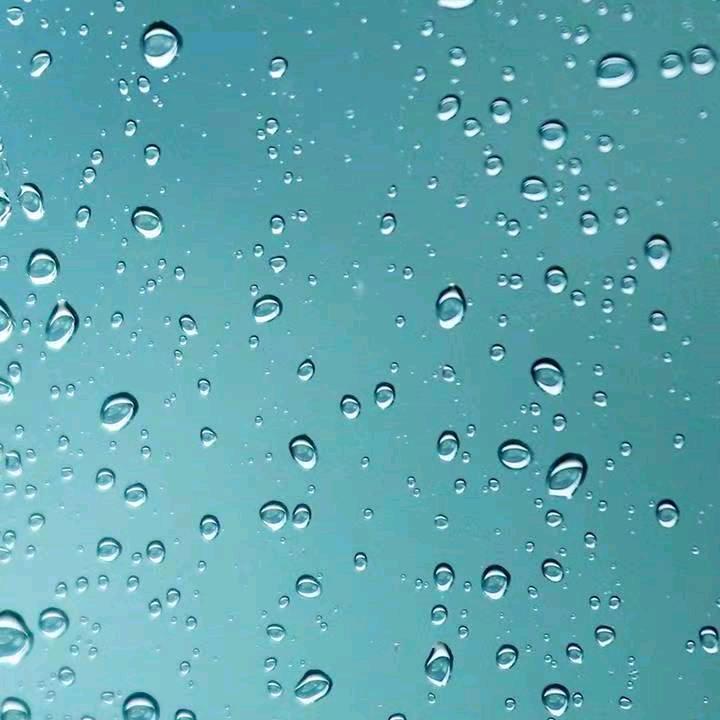 荣华富贵