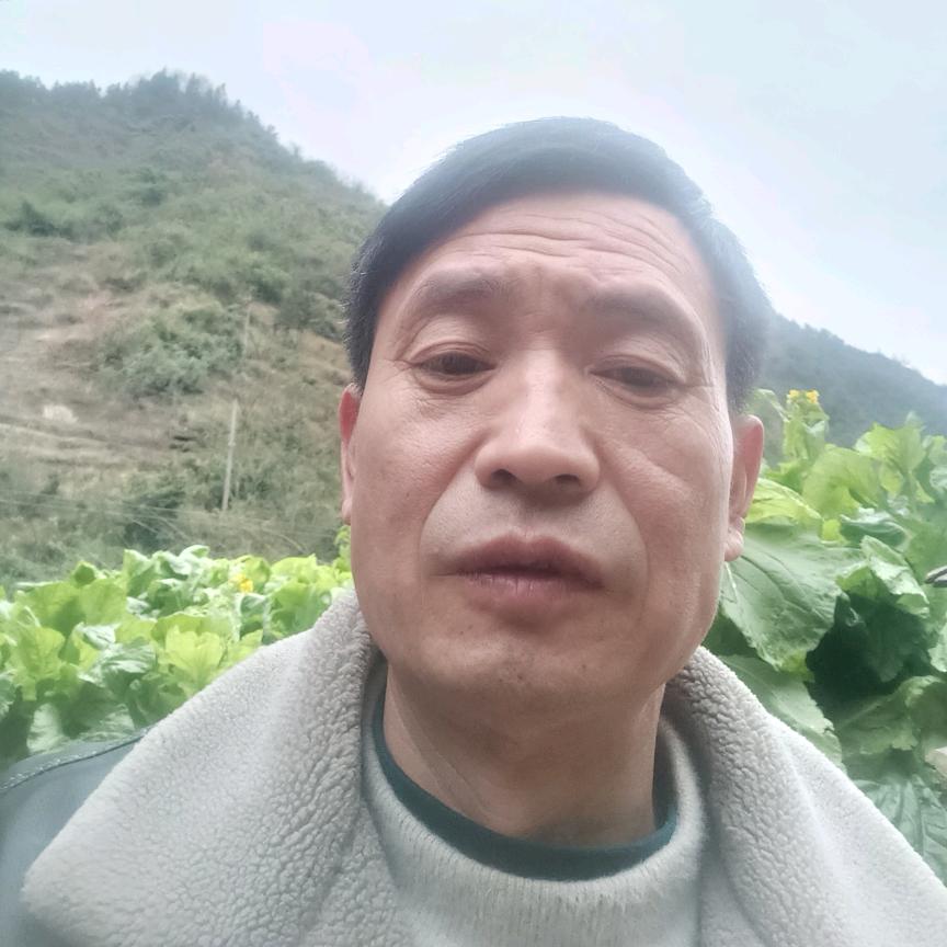 贵哥小号（下午六点开直播）