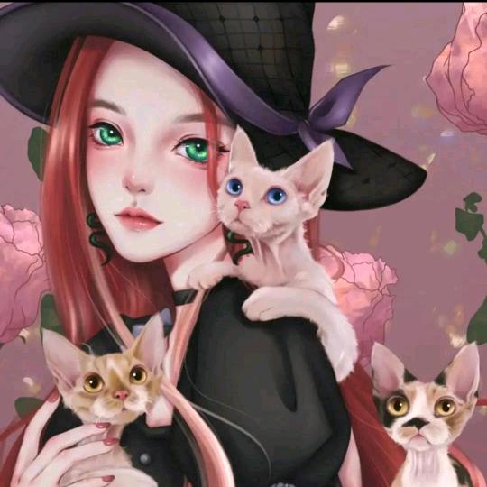 🐾德文卷毛🐱