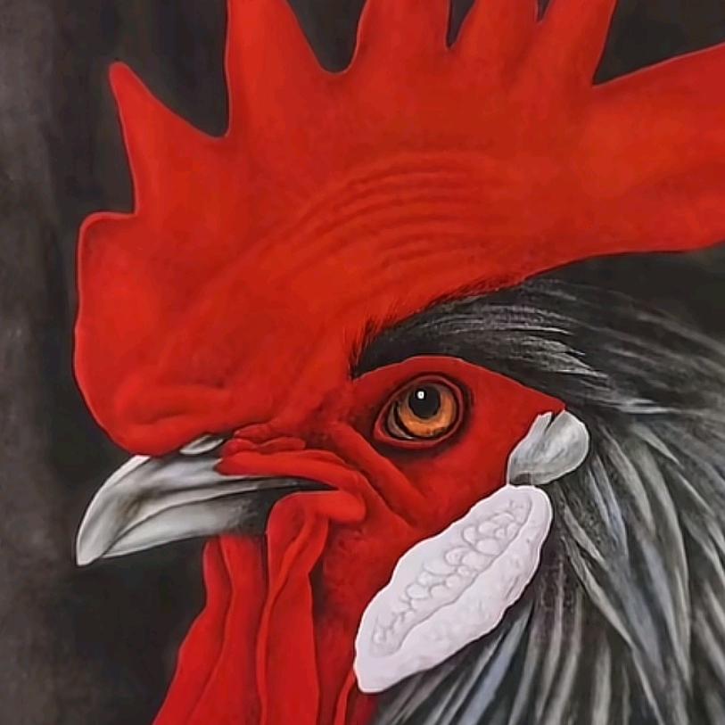 ৡ顺࿐理ৡ成᭄张࿐㤅儞