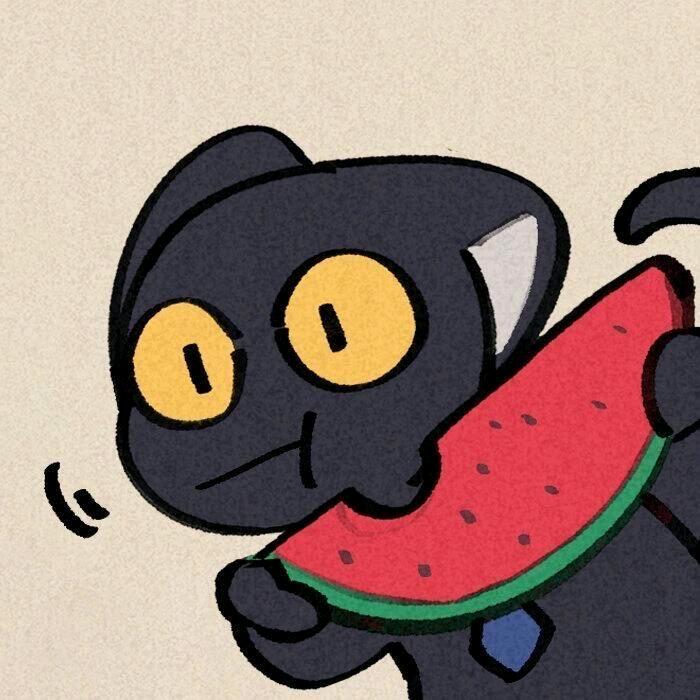 木里