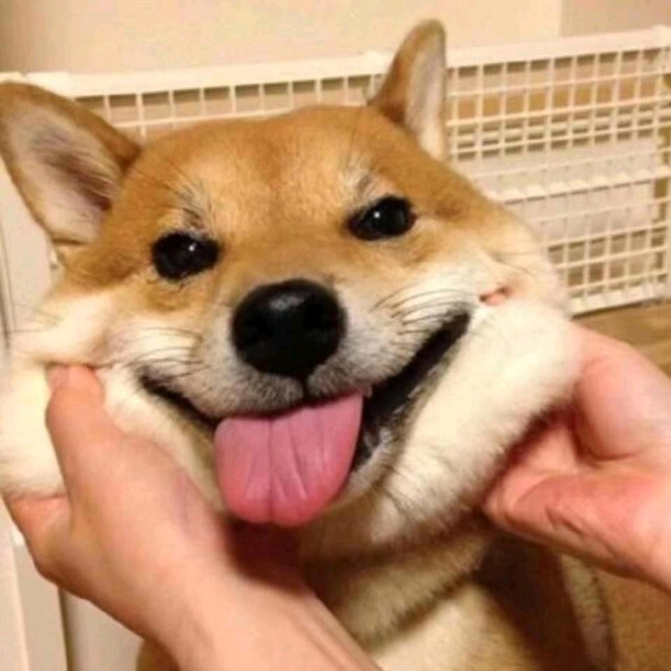 Z  D