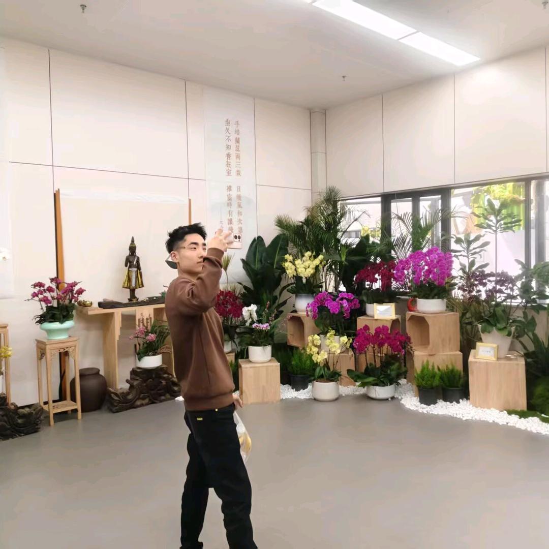 陕西红孩儿