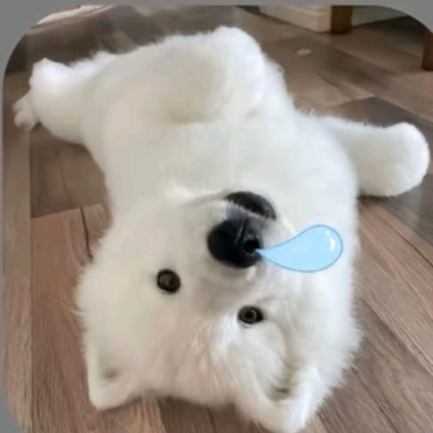 不等.
