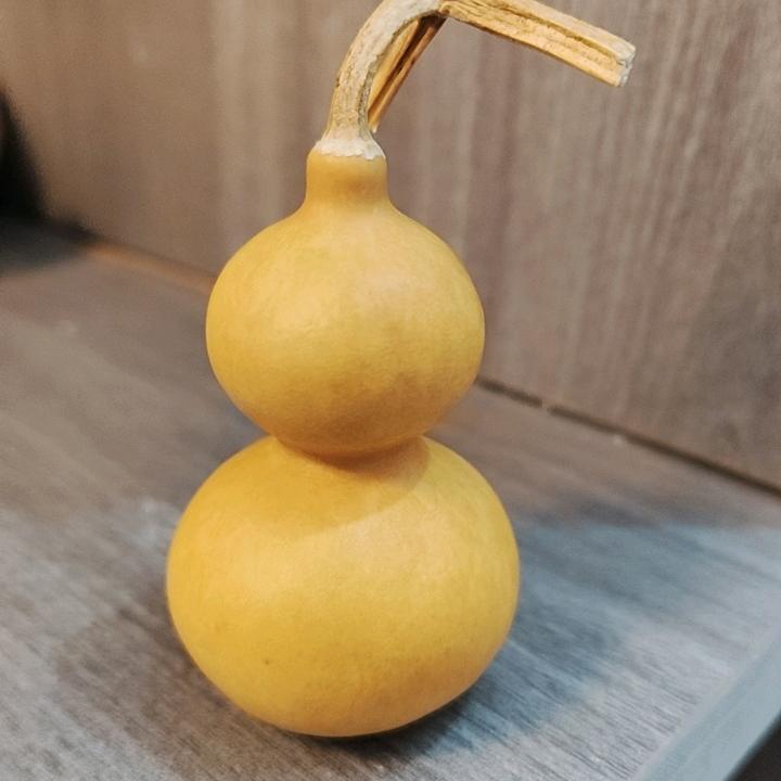 聪聪葫芦