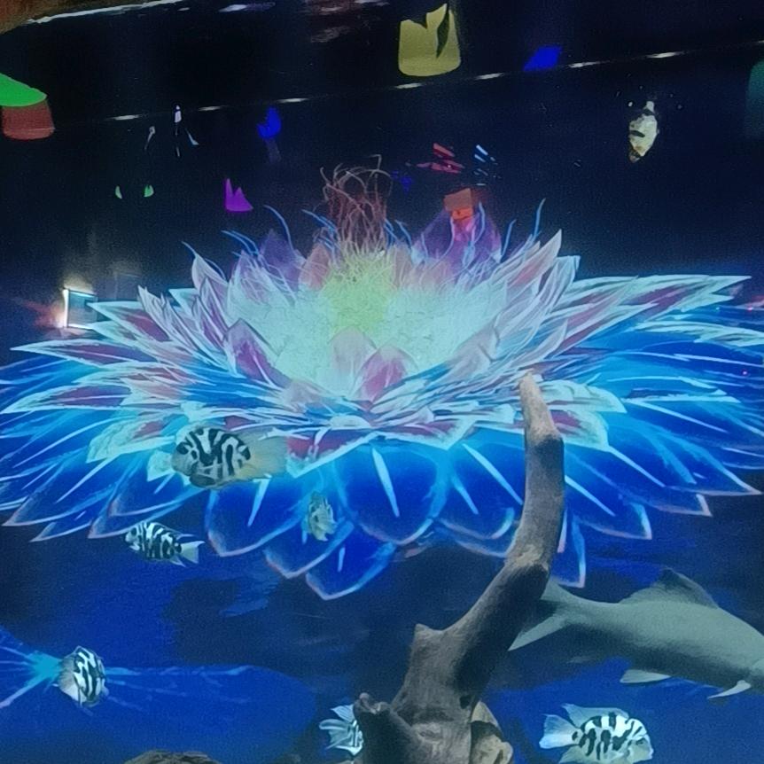 逍遥自在一游客